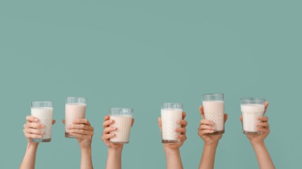 Nutricionista ensina a escolher entre leite proteico e whey de caixinha