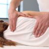 Fisioterapeuta explica 5 características da quiropraxia