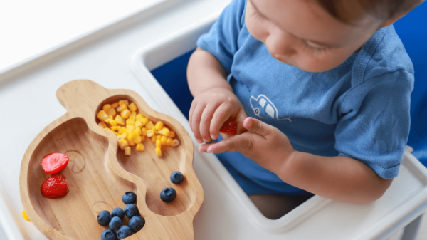 alimentação